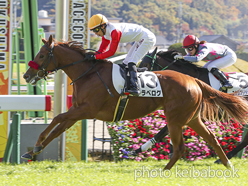 カラープリント(アルミ枠付き)2022年11月6日福島5R 2歳新馬(トラベログ)