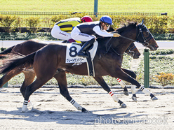 カラープリント(アルミ枠付き)2022年11月19日東京4R 2歳新馬(グレートサンドシー)