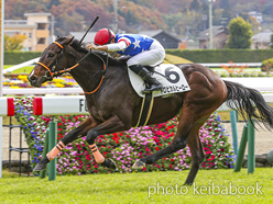 カラープリント(アルミ枠付き)2022年11月19日福島4R 2歳未勝利(トロピカルヒーロー)