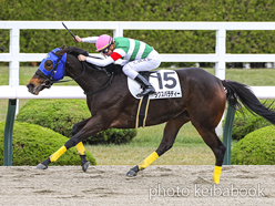 カラープリント(アルミ枠付き)2022年11月20日阪神7R 3歳以上1勝クラス(ラクスバラディー)