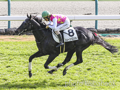 カラープリント(アルミ枠付き)2022年11月20日福島4R 3歳以上障害未勝利(ジューンベロシティ)