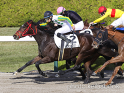 カラープリント(アルミ枠付き)2022年12月3日阪神7R 3歳以上1勝クラス(ニホンピロクリーク)