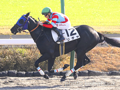 カラープリント(アルミ枠なし)2022年12月4日中山2R 2歳未勝利(リチャ)