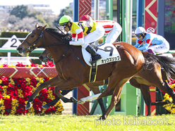 カラープリント(アルミ枠付き)2022年12月24日中山5R 2歳新馬(オックスリップ)