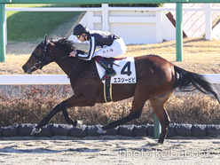 カラーパネル2023年1月7日中山2R 3歳未勝利(エスシービビ)