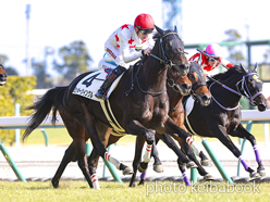 カラープリント(アルミ枠付き)2023年1月8日中京6R 3歳新馬(ミッキーツインクル)