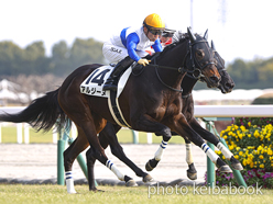 カラーパネル2023年1月9日中京6R 3歳新馬(アルジーヌ)