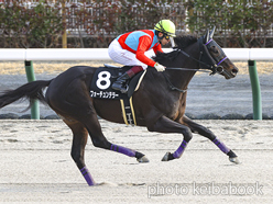 カラーパネル2023年1月9日中京9R 鳥羽特別(フォーチュンテラー)