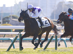 カラープリント(アルミ枠付き)2023年1月9日中山5R 3歳未勝利(エッセレンチ)