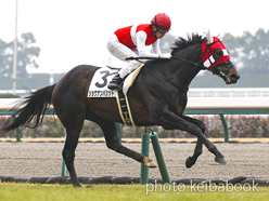 カラーパネル2023年1月14日中京6R 3歳1勝クラス(ショウナンバシット)