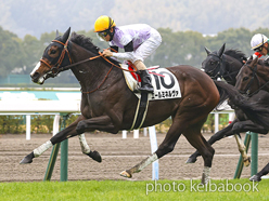 カラーパネル2023年1月14日小倉6R 3歳未勝利(エールミネルヴァ)