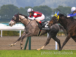 カラープリント(アルミ枠なし)2023年1月14日小倉11R 壇之浦ステークス(ウインピクシス)