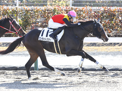 カラープリント(アルミ枠付き)2023年1月15日中京1R 3歳未勝利(ワンライトスター)