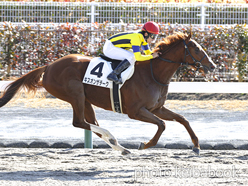 カラープリント(アルミ枠なし)2023年1月15日中京3R 3歳新馬(キスオンザチーク)