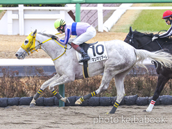 カラープリント(アルミ枠なし)2023年1月15日中山2R 3歳未勝利(マンマリアーレ)