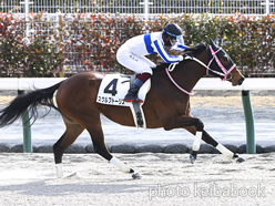 カラープリント(アルミ枠なし)2023年1月22日中京3R 3歳新馬(スクルプトーリス)