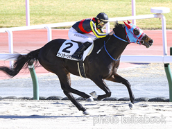 カラープリント(アルミ枠付き)2023年2月5日中京7R 4歳以上1勝クラス(ヴィンテージボンド)