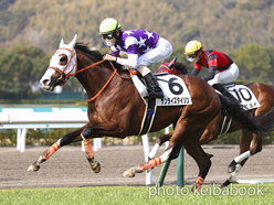 カラーパネル2023年2月11日小倉2R 3歳未勝利(サンライズタイソン)