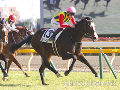 カラープリント(アルミ枠付き)2023年2月11日東京7R 3歳1勝クラス(ポリーフォリア)