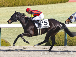 カラープリント(アルミ枠なし)2023年2月12日阪神1R 3歳未勝利(エイシンフェンサー)