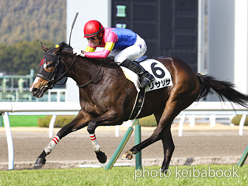 カラーパネル2023年2月12日小倉2R 3歳未勝利(リサリサ)