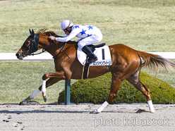 カラーパネル2023年3月4日阪神1R 3歳未勝利(ロンシャンクイーン)