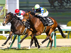 カラーパネル2023年3月5日阪神8R アルメリア賞(ドットクルー)