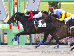 カラープリント(アルミ枠なし)2023年3月5日中山2R 3歳未勝利(ジャーニーメモリー)