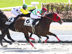 カラーパネル2023年3月11日中京3R 3歳未勝利(アンスリウム)