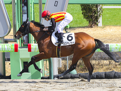 カラープリント(アルミ枠なし)2023年3月11日中山6R 3歳未勝利(コスタノヴァ)