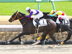 カラーパネル2023年3月12日中山2R 3歳未勝利(ニットウバジル)