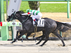 カラープリント(アルミ枠なし)2023年3月12日中山6R 3歳1勝クラス(フェブランシェ)