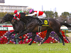 カラープリント(アルミ枠なし)2023年3月18日阪神11R 若葉ステークス(ショウナンバシット)