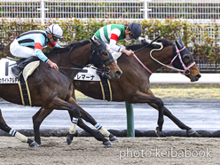 カラープリント(アルミ枠付き)2023年3月18日中京6R 4歳以上1勝クラス(アレマーナ)