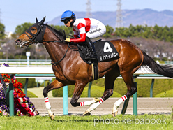 カラーパネル2023年3月19日阪神9R 山陽特別(ダノンティンパニー)