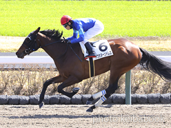 カラープリント(アルミ枠付き)2023年3月19日中山2R 3歳未勝利(アフタヌーンドレス)