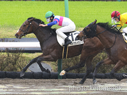 カラープリント(アルミ枠付き)2023年3月25日中山2R 3歳未勝利(キョウエイカンフ)