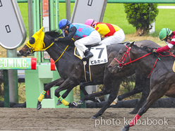 カラーパネル2023年3月26日中山6R 3歳1勝クラス(ビルカール)