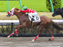 カラープリント(アルミ枠なし)2023年3月26日中山7R 4歳以上1勝クラス(エスティメート)