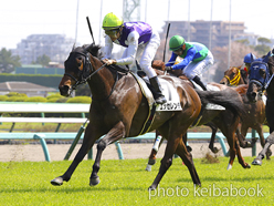 カラープリント(アルミ枠付き)2023年4月1日中山7R 3歳1勝クラス(エッセレンチ)