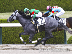 カラーパネル2023年4月2日阪神3R 3歳未勝利(ジョータルマエ)