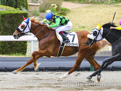 カラープリント(アルミ枠付き)2023年4月8日福島3R 3歳未勝利(ビービーグラーテス)