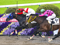 カラーパネル2023年4月15日福島12R 4歳以上1勝クラス(ダノンマジック)