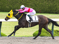 カラープリント(アルミ枠付き)2023年4月16日阪神1R 3歳未勝利(ライジングラパス)