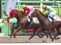 カラープリント(アルミ枠付き)2023年4月16日中山6R 4歳以上1勝クラス(ペイシャジュン)