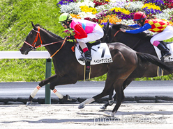 カラープリント(アルミ枠付き)2023年4月22日福島3R 3歳未勝利(ペイシャアンジェロ)