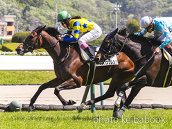 カラーパネル2023年4月22日福島8R 4歳以上1勝クラス(リュクスフレンド)