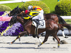 カラープリント(アルミ枠なし)2023年4月23日福島8R 4歳以上1勝クラス(レリジールダモーレ)