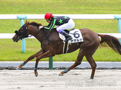 カラーパネル2023年5月6日京都3R 3歳未勝利(アマルナ)