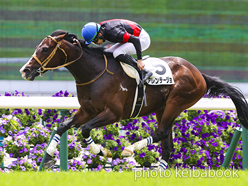 カラープリント(アルミ枠付き)2023年5月6日京都5R 3歳未勝利(アレンテージョ)